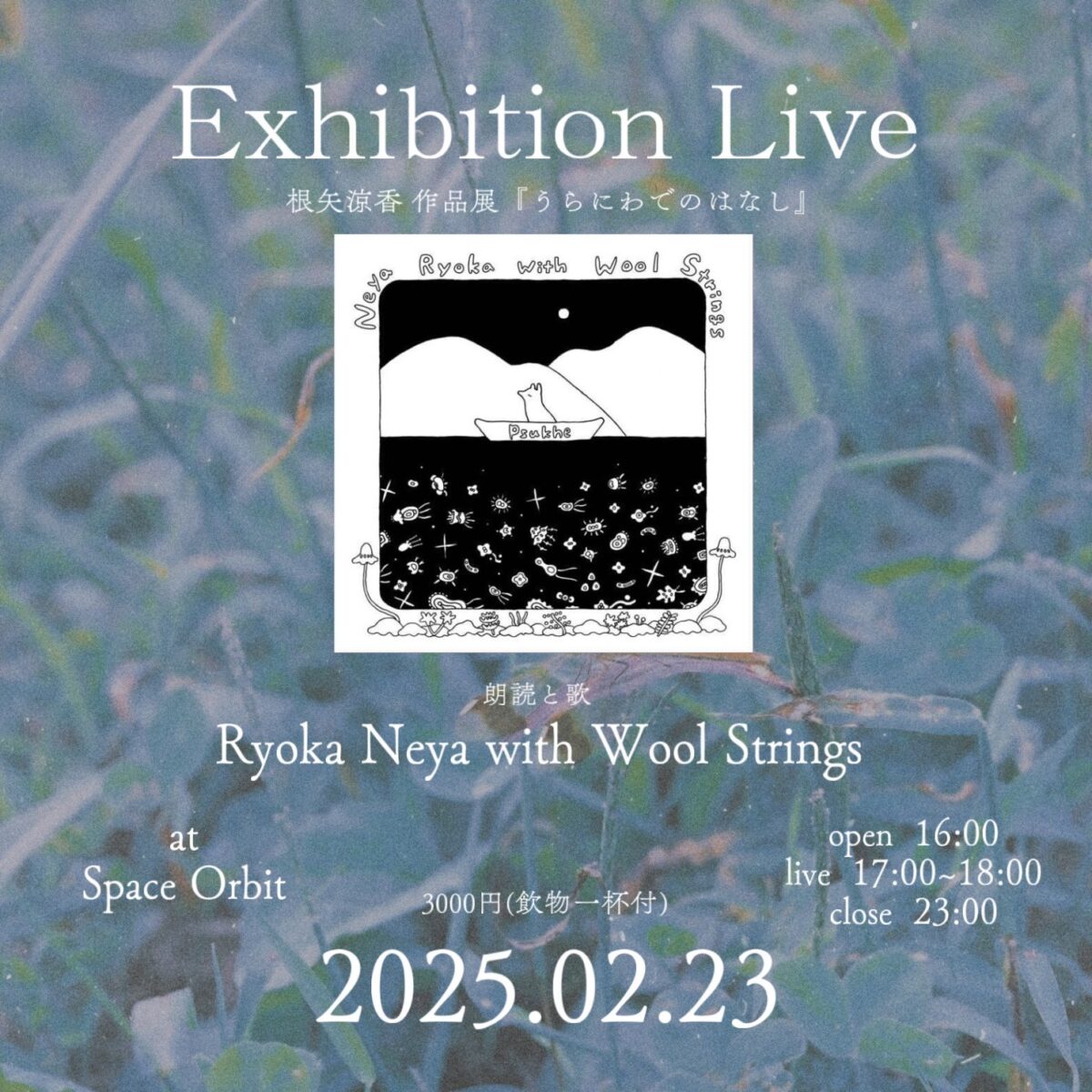 live-flyer
